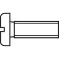 TOOLCRAFT 888684 Zylinderschrauben M3 6 mm Schlitz DIN 84 Stahl verzinkt 1 St.