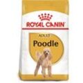 ROYAL CANIN Poodle Adult Hundefutter trocken für Pudel 7,5kg