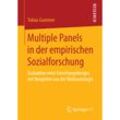 Multiple Panels in der empirischen Sozialforschung - Tobias Gummer, Kartoniert (TB)