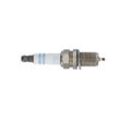 BOSCH Zündkerze Double Iridium 1-polig für HOLDEN BUICK VAUXHALL WEY CHEVROLET HAVAL OPEL GREAT WALL 55585517 55576026 0 242 240 707