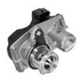 VALEO AGR-Ventil ORIGINAL TEIL mit Dichtungen für RENAULT FIAT VAUXHALL MERCEDES-BENZ NISSAN OPEL 147101478R 1471000Q1B A6261400260 700449