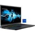 MEDION Gaming-Notebook "ERAZER Beast X40", schwarz, 32 GB RAM 1000 GB SSD, Core i9, Windows 11 Home, Notebooks