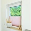 Hago - Premium Klemmfix-Plissee ohne bohren, Faltrollo Rollo Jalousie für Fenster Tür Rosa 85 cm 200 cm - Rosa