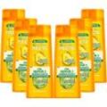 GARNIER Haarshampoo Garnier Fructis Oil Repair 3 Shampoo, Set, 6-tlg., weiß