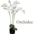 Künstliche Blumen Orchidee Orchideen Pflanzen Kunstpflanze Kunstblumen Künstlich Pflanze Weiß mit Topf Deko 75 cm Decovego