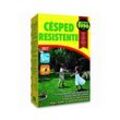 Ultra resistente Rasensamen 1 kg, resistente Gräser-Samen, wassersparender Nachsaat-Rasen