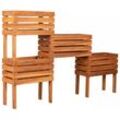 bene living Hochbeet Dundee Teak