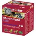 Moonlight led, Mondlicht Strahler - 3W - Hobby