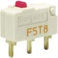 PCE - Burgess F5T8UL Mikroschalter F5T8UL 250 v/ac 5 a 1 x Ein/(Ein) IP40 tastend 1 St.