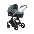 Chipolino Kinderwagen Elite 3 in 1 i-Size Babyschale Sportsitz Babywanne Tasche grün