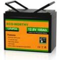 12V 100Ah Low Temp Cut-Off LiFePO4 Akku Lithium Batterie mit 100A bms schutz und 3000-15000 Zyklen,1280Wh Lithiumbatterie für Wohnmobil,Solaranlage,