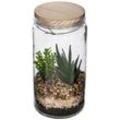 Terrarium mit Kunstpflanze Topf Glas H22cm - Model 1