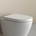 WC-Sitz Soft-Close U1002 mit LED-Beleuchtung