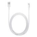 Apple MD819ZM/A USB-A 2.0 Stecker zu Lightning Connector USB-Kabel 2m Weiß