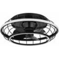 Globo - Deckenventilator schwarz Deckenlampe modern Wohnzimmerleuchte dimmbar, led Ringe Fernbedienung cct Timer, led 30W 1300lm 2700-6500K, DxH