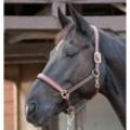 Horse Guard Lederhalfter - braun - Warmblut