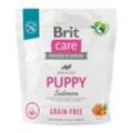 Trockenfutter für Welpen und Junghunde aller Rassen (4 Wochen - 12 Monate). Brit Care Dog Grain-Free Pu