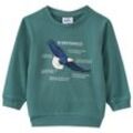 Kinder Sweatshirt mit Weißkopfseeadler-Motiv