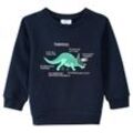 Kinder Sweatshirt mit Triceratops-Motiv