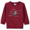 Kinder Sweatshirt mit Walross-Motiv