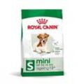 ROYAL CANIN Mini Ageing 12+ 3,5 kg