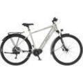 FISCHER Terra 4.0I All Terrain Bike (ATB) (Laufradgröße: 29 Zoll, Rahmenhöhe: 55 cm, Herren-Rad, 630 Wh, Greige)