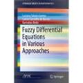 Fuzzy Differential Equations in Various Approaches - Luciana Takata Gomes, Laécio Carvalho de Barros, Barnabas Bede, Kartoniert (TB)