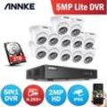 Annke - 16CH 1080P hd Videoüberwachungssystem H.265+ 5in1 5MP Lite dvr 12X 1080P Turm Outdoor Wetterfeste CCTV-Überwachungskameras - mit 2TB