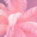 KARE Feather Palm Stehleuchte mit Federn, pink