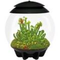 Schwarzes automatisiertes terrarium Oase Air 30 black