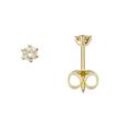 Paar Ohrstecker FIRETTI "Schmuck Geschenk Gold 750 Ohrschmuck Solitär", gold (gelbgoldfarben), Ohrringe, Damen, 0,2 ct P2 = erkennbare Einschlüsse, Gelbgold 750-Diamanten, Gelbgold 750, Diamanten, mit Brillant - Krappenfassung