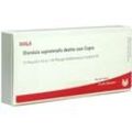 Glandula Suprarenales Dextra cum Cupro A 10X1 ml