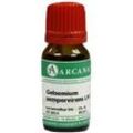 Gelsemium Sempervirens LM 12 Dilution 10 ml