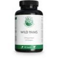 Green Naturals Wild Yam Hochdosiert Vegan 180 St