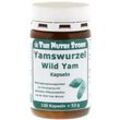 Yamswurzel WILD Yam 250 mg Kapseln 120 St