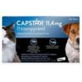 Capstar Tabletten Hunde bis 11 kg und Katzen 6 St