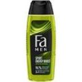 Fa MEN Sport Energy Boost Duschgel 250 ml