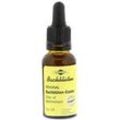 Bachblüten Murnauer Star of Bethlehem Tr 20 ml