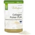 Cellufine® VERISOL® B (Rind) Collagen-Pulver PUR Doypack 300 g