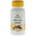 WILD YAM Extrakt Kapseln 100 St