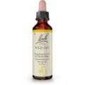 Bachblüten Wild Oat Tropfen 20 ml