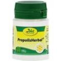 Propolis Herbal Pulver vet. 20 g