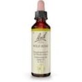 Bachblüten Wild Rose Tropfen 20 ml