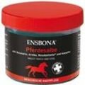 ENSBONA Pferdesalbe 50 ml