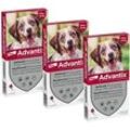 Advantix Spot-on Hunde 10-25 kg 3X4 St