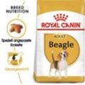 ROYAL CANIN Beagle Adult 12 kg