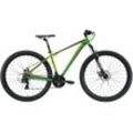 Mountainbike BIKESTAR Gr. 43, grün, Fahrräder, 43cm, 29 Zoll (73,66cm), für Damen und Herren, Kettenschaltung