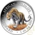 1 Unze Silbermünze Somalia African Wildlife Leopard 2023 - coloriert