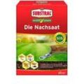 SUBSTRAL® DIE NACHSAAT Rasensamen 400 g