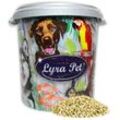 Lyra Pet - 10 kg ® Kardisaat in 30 l Tonne